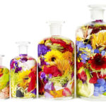 ボトルフラワーが素敵？値段や予算は?ジャルダンデフルールのものが圧倒的？