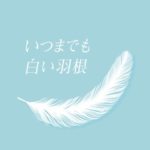 新川優愛「いつまでも白い羽根」の髪型を解説！2018最新のオーダー＆セット方法！