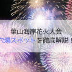 葉山海岸花火大会2019の穴場5選！駐車場や交通規制・混雑状況を徹底解説！