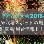 久里浜花火大会2019の有料席や穴場スポットの場所は？駐車場・屋台情報も！
