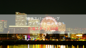 横浜スパークリングトワイライト2019花火大会｜有料席の場所とチケットやクルージング予約方法